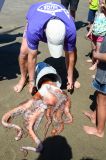 201108141157-AJS_7371.jpg